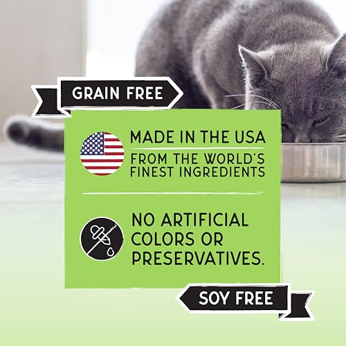 Image of Blackwood Bounty Dry Cat Food, Whitefish & Lentil Recipe for All Life Stages, 2 Pound Bag, High Protein, Grain Free (Pack of 4)