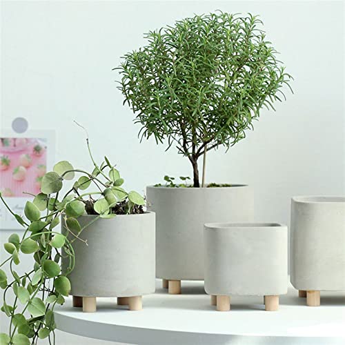 Petite plante en pot stable contre les chutes - 7