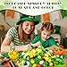 229 Pcs St. Patrick's Day Sensory Bin Filler Irish Shamrock Counting Sorting Sensory Bin Items Fine Motor St. Patrick's Day Counts for Irish Counting Decor
