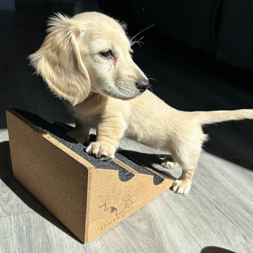 StairWedge Hundetreppe – Einzelne, weiche Teppichrampe für Haustiere, geriffelte Sicherheitsstufe für sicheres Klettern, Rampe aus Naturkork für Hunde, Katzen und Kleintiere zur Mobilitätshilfe