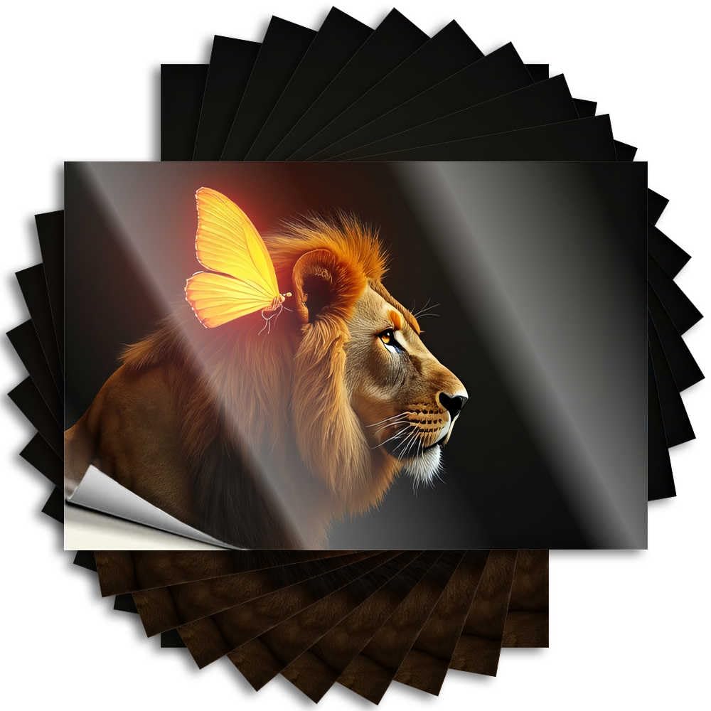 Abipuir Nature's Majesty Car Stickers - Lion & Butterfly Stickers - 10 Car Stickers & Signs for Home Decoration (12 x 18 cm)