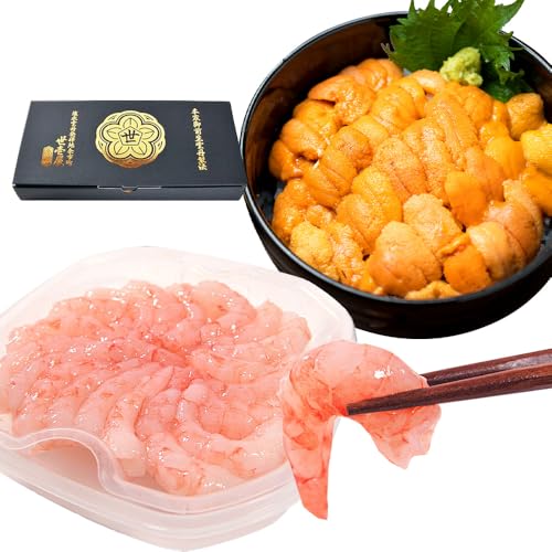 ɐX 뉮 kCY K_O80g ނÂ Zbg e1 Mtg Zbg  Yn