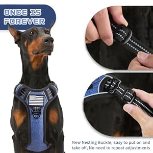 Bumbin tactical dog harness for small dogs no pull famous tik tok no pull puppy harness fit smart reflective pet walking harness for training adjustable dog vest harness with handle denim blue s   cucciolini doodles