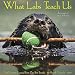 What Labs Teach Us 2020 Wall Calendar (Dog Breed Calendar)