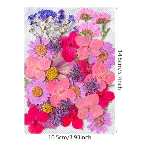Set de flores secas prensadas para manualidades miniatura 3