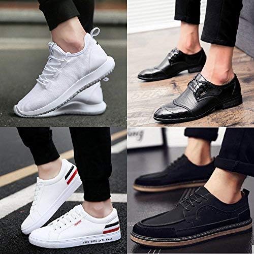 SIXDAYSOX No Show Socks for Men 8 pack Cotton Thin Low Cut Non Slip for Loafer Flats Sneakers 5-8/9-11/12-15