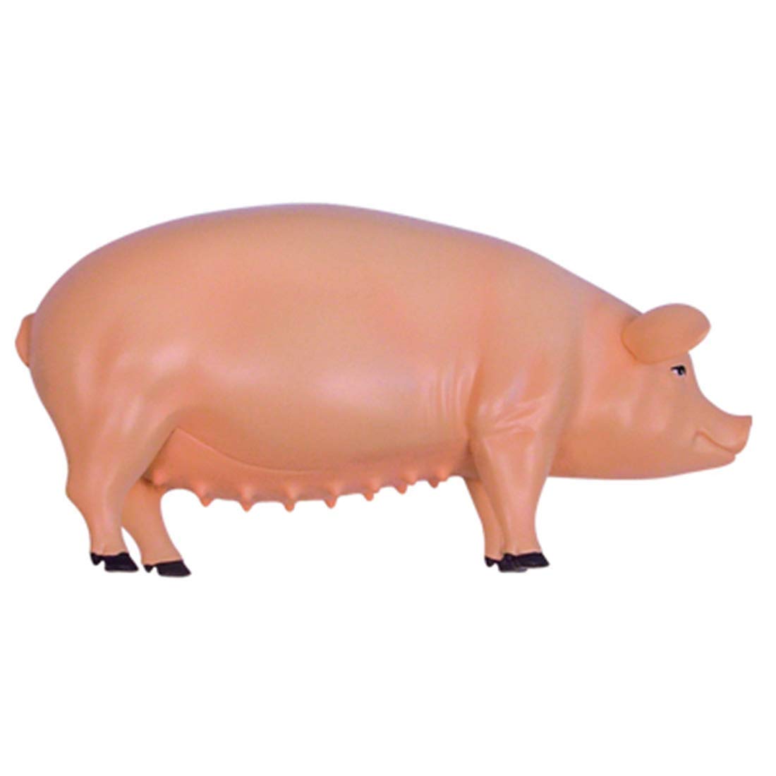 Modelo Ensamblaje Simulación Cerdo Modelo Anatómico Anatomía Biología Animal Órgano 15,6 8,8 7,7 Cm