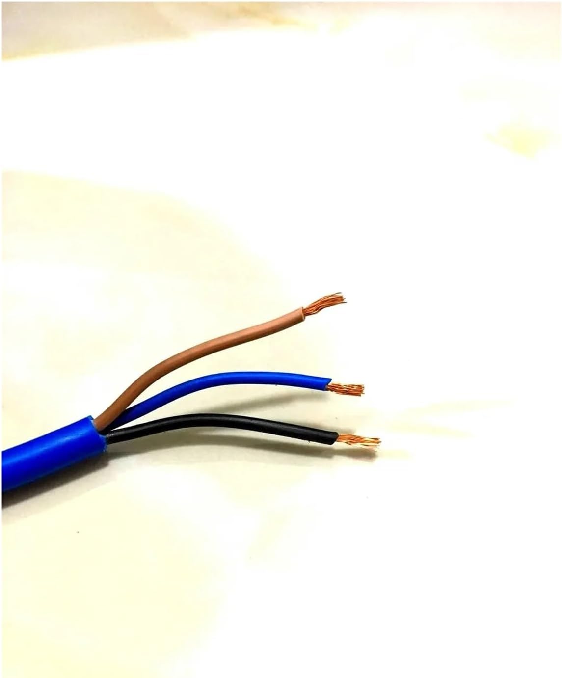Arionyx Liquid Level Switch ENM-10 Float Sensor 6m 5828802 Cable