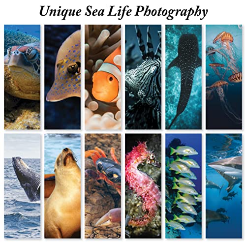 Jbh Creations OCEAN-ANIMAL-BOOKMARK-48 Ocean Animal Bookmarks thumb #2