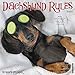 Dachshund Rules 2020 Wall Calendar (Dog Breed Calendar)