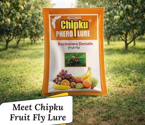 Image of Chipku Fruit Fly Lure Pack of 25 for Fruit Fly Insect Trap for Agriculture for Bactocera Dorsalis Pheromone Lure for Mango Tree,Papaya, Guava,Chiku,Citrus, All Fruit Crops