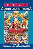 Devi: Goddesses of India (Comparative Studies in Religion and Society)
