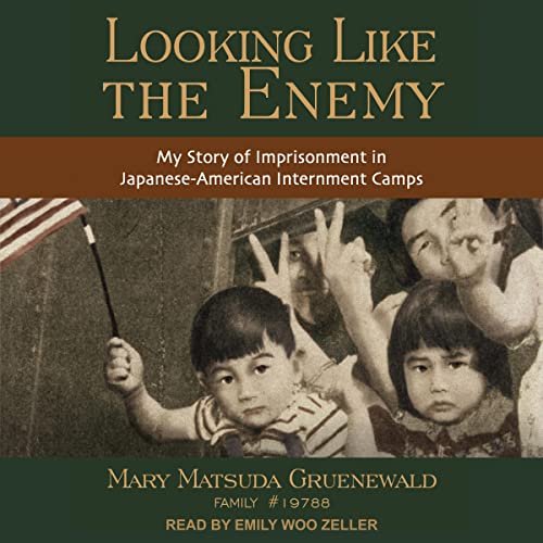 Looking Like the Enemy by Mary Matsuda Gruenewald episode artwork