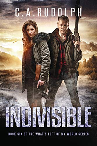 INDIVISIBLE: Book Six of the What's Left of My World Series
