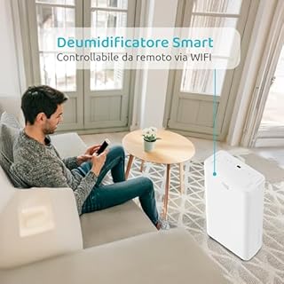 BALTIC 10, Deumidificatore 10L con Ruote, Flusso d'aria 100m³/h, Modalità Lavanderia, Funzione Scongelamento, Controllo Remoto, Indicatore Umidità, Gas R290, Timer 24 ore, 39dB