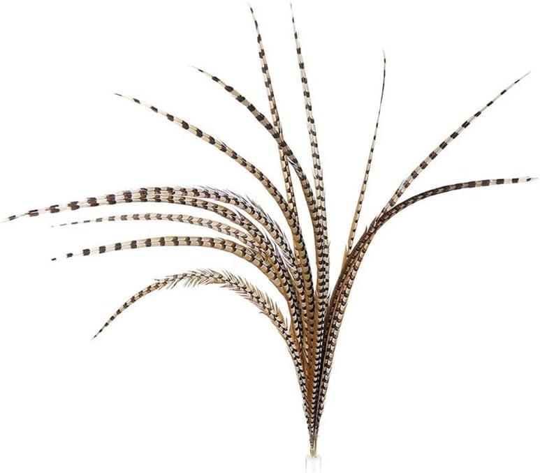Natural Lady Amherst Pheasant Feathers for Decoration Top with Long Reeves Venery Feather Carnival Accessories Performance Props - 10 Piece