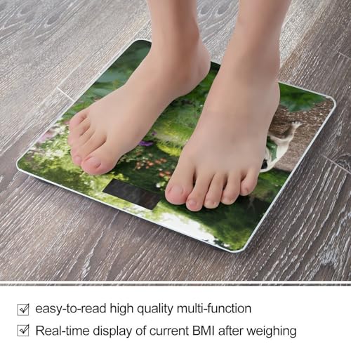 Báscula digital de baño con vidrio templado JTREHY miniatura 5