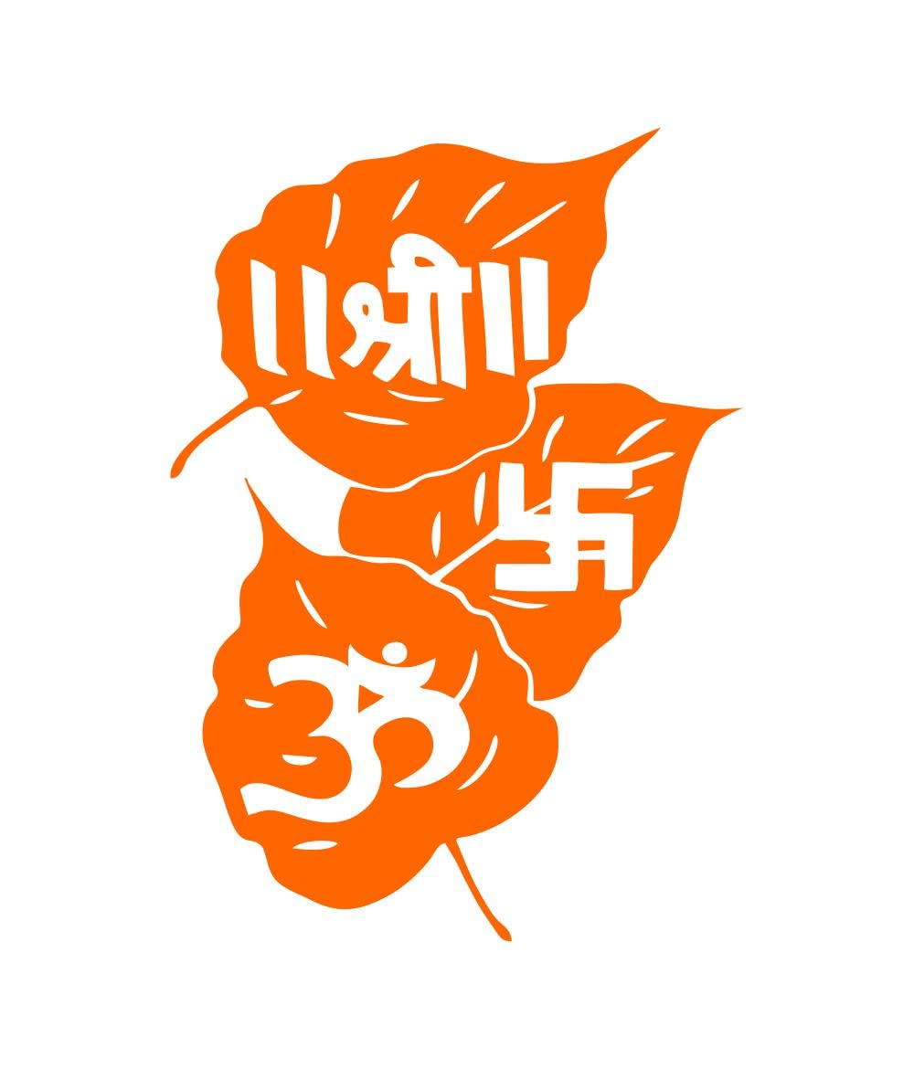 decalbazaar Vinyl Shri Om Swastik Peepal Leaf Decorative Glossy Wall Glass Car Sticker 7 x 5 Inches Orange (B09X1PN7D8) Amazon Price History, Amazon Price Tracker