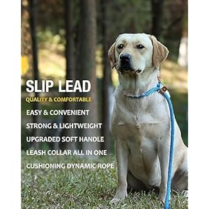 lynxking-Dog-Leash-Slip-Lead-5-6-8-FT-Dog-Training-Leash-Strong-Heavy-Duty-Braided-No-Pull-Training-Lead-Leashes-for-Small-Medium-Large-Dogs - Cucciolini Doodles   lynxking-Dog-Leash-Slip-Lead-5-6-8-FT-Dog-Training-Leash-Strong-Heavy-Duty-Braided-No-Pull-Training-Lead-Leashes-for-Small-Medium-Large-Dogs