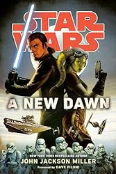 英語版ゲームブック　GAMEBOOK STAR WARS　JEDI DAWN 英語版ゲームブック GAMEBOOK STAR WARS JEDI DAWN 英語版ゲーム