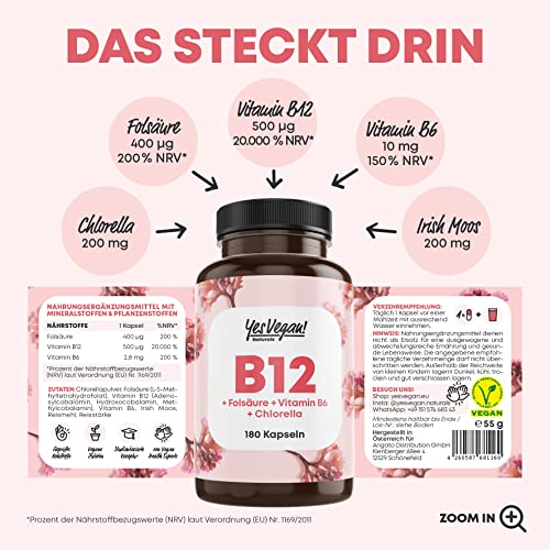 Vitamin B12 hochdosiert (180 Kapseln) aktiver 3-fach B12 Komplex mit Kofaktoren Folsäure, Vitamin B6 und Chlorella I B12 Vitamin Alternative zu Vitamin B12 Tropfen und Tabletten