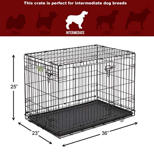Top Paw Double Door Wire Dog Crate, Black 36"L x 23"W x 25"H Pets