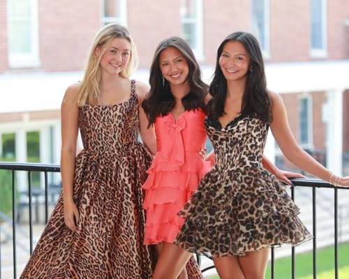 Strapless Homecoming Dress for Teens 2025 Bow Tiered Chiffon Short HOCO Dress L010203