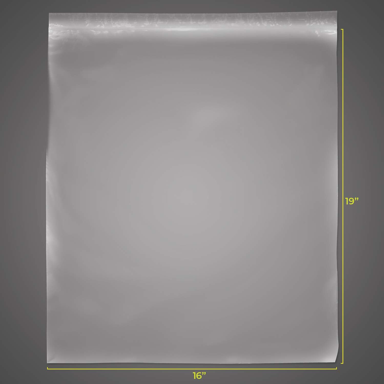 SNL Quality Zipper Lock Extra Large Jumbo Reclosable Clear Disposable Plastic Bags, Strong | 16" X 19" - 2 MIL - 100 Bags