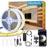 Gliztech