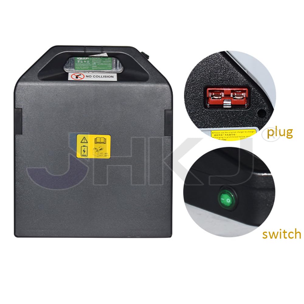 Batteria per Carrello elevatore Elettrico da 24 V 20 Ah 30 Ah 50 Ah, Pacco Batteria LiFePO4 da 24 Volt per transpallet Elettrico PTE15Q.