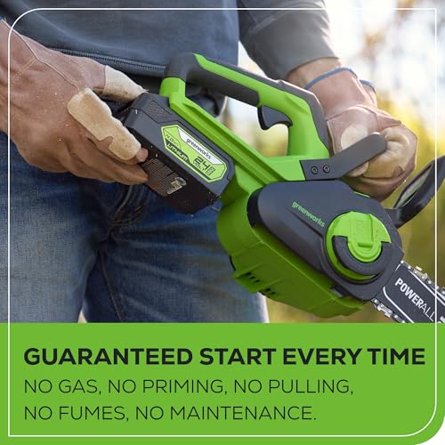 Image of Greenworks 24V 12 inch Brushless Cordless Compact Chainsaw (Great For Storm Clean-Up, Pruning, and Firewood / 200+ Compatible Tools), 4.0Ah Battery and Charger Included