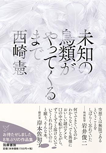 未知の鳥類がやってくるまで (単行本)
