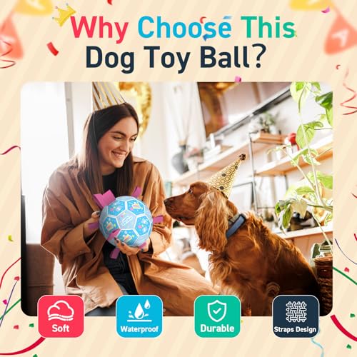 QDAN Dog Birthday Toys, Soccer Ball for Dogs with Straps, Dog Ball Toy, Puppy Birthday Gifts, Durable Herding Balls for Medium Large Dogs (8 inch) — view 5