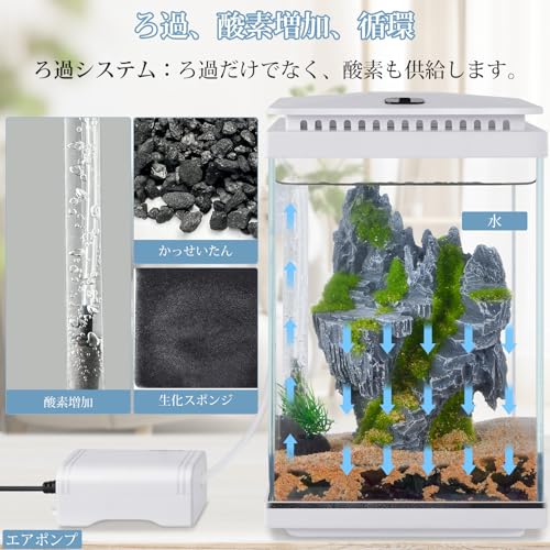 FEDOUR 5L小型ガラス水槽 LEDライト/ぶくぶく水キレイセット付き の商品画像 2
