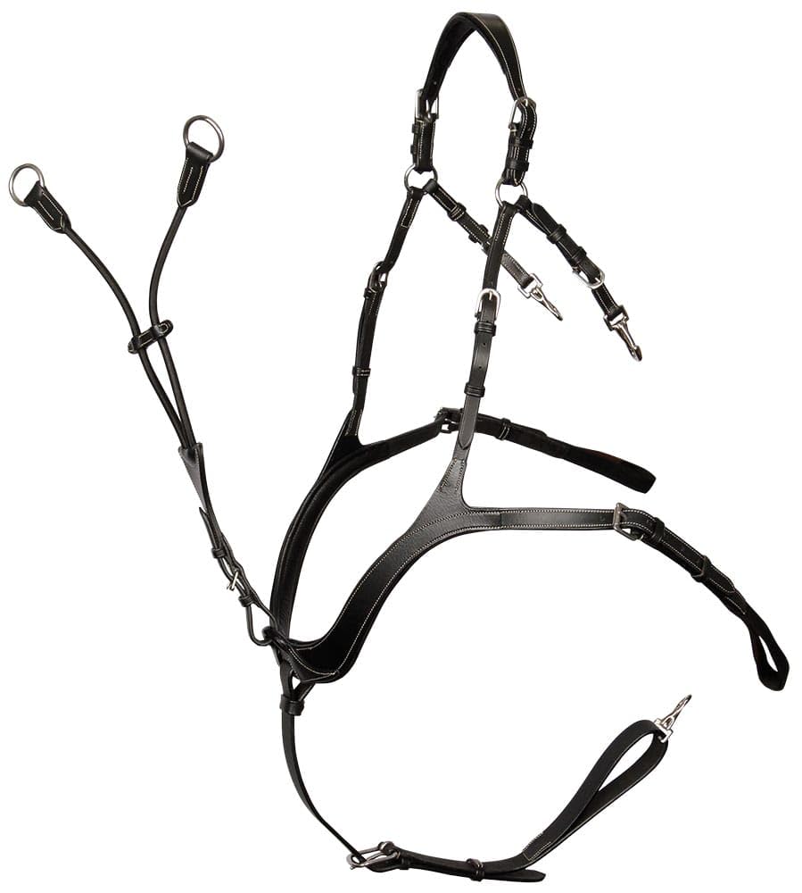 Harry's Horse Pestillo de lujo Deluxe para caballo, color negro, liso, cierre de mosquetón, diseño de lujo, alta comodidad y funcionalidad única