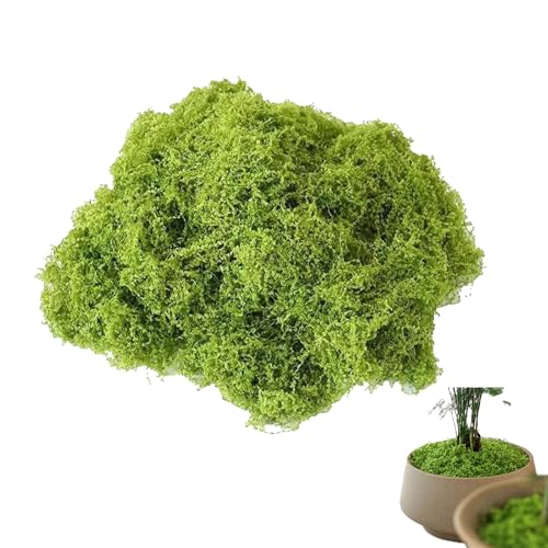 Pence & Moon Collective Fake Moss Artificial Moss for indoor plant pots Crafts Decor Model Making Landscaping & More(50g Light Green)