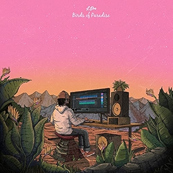 1. Birds of Paradise