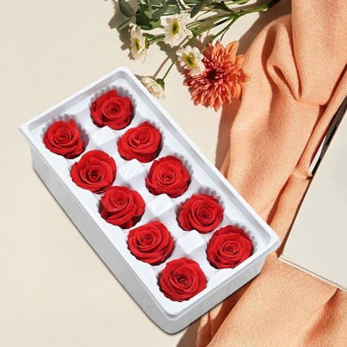 10 cabezas de flores de rosa secas eternas miniatura 5