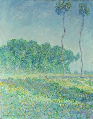 Posters et art pour décoration chambre Monet paysage de printemps