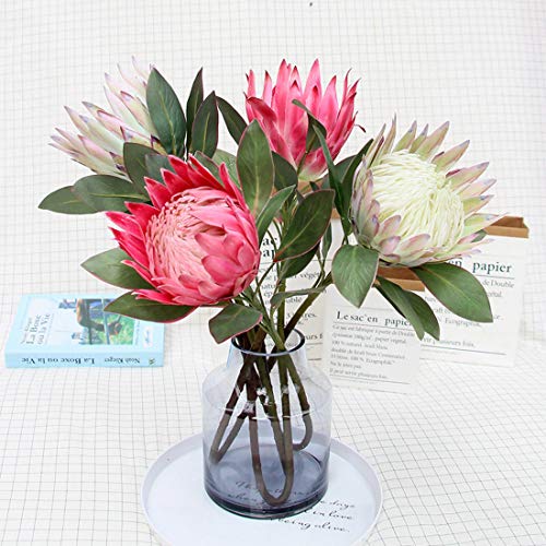 Calcifer 1 Pcs 75 Cm The King Protea (Protea Cynaroides) Artificial Flowers Plants For Home Garden Wedding Party Decoration (Beige, 1) #TOP5