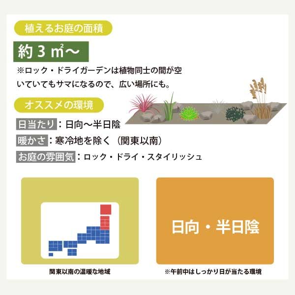 Amazon.co.jp: ロックガーデンセット 定番のアガベ・コルジリネに