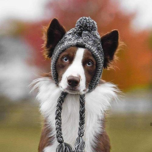 MoccyBabeLee Cappello Invernale per Cani Cappello