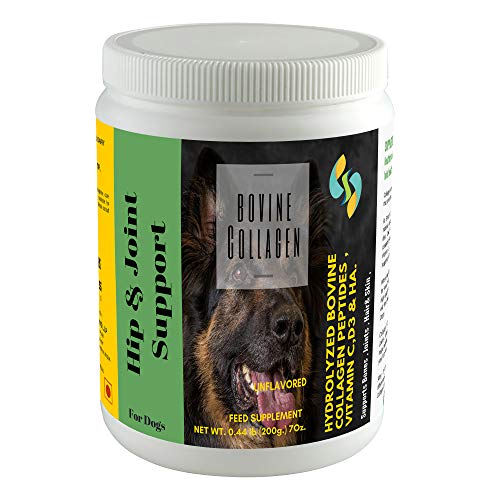 Are Collagen Peptides Safe For Dogs