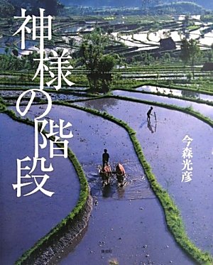森の書道　八百万の神様の内の森の神様 Amazon.co.jp: 神様の階段 : 今森 光彦, 今森 光彦: 本