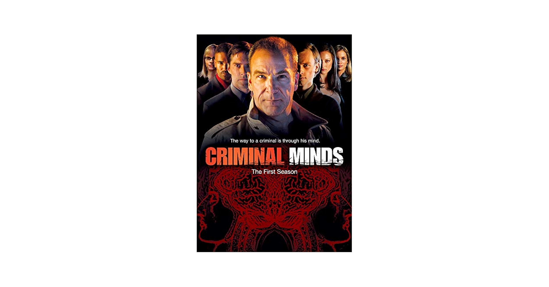 Amazon.com: Criminal Minds: Season 1 : Moore, Shemar, Gubler