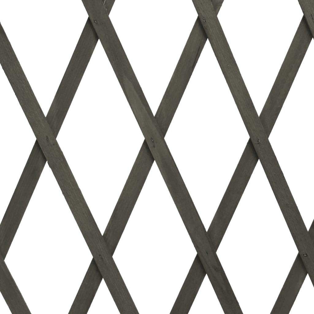 Traliccio Estensibile in Legno Massello Grigio 180x100 cm