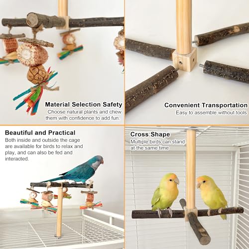 Image of Rotating Parrot Perch Stand with Chew Toy - Natural Wooden Bird Cage Accessories, Bird Stand with Chew Toys and Exercise Wheels, Natural Wooden Perch Stand for Small and Medium Sized Birds