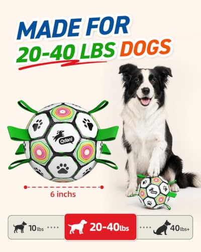  Dog Soccer Ball with Straps - image 3