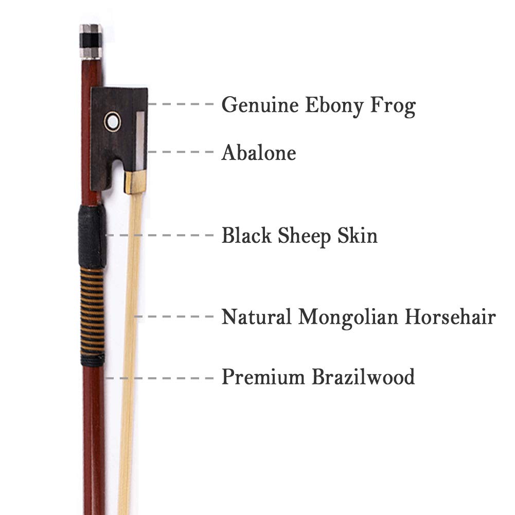 ○弓 Brazilwood Imitated Whale 4/4