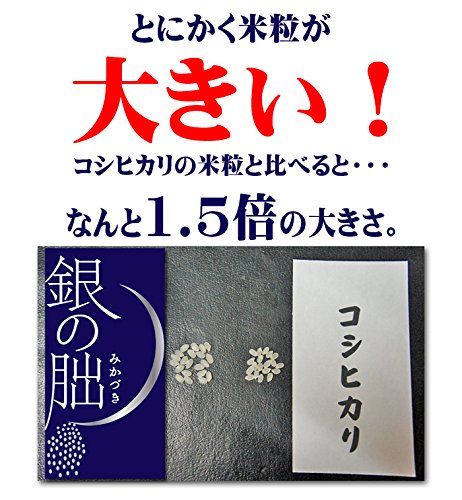 Amazon.co.jp: 銀の朏 【精米】 ぎんのみかづき 岐阜県飛騨産 特別栽培
